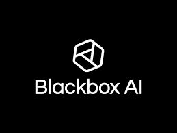 Blackbox AI